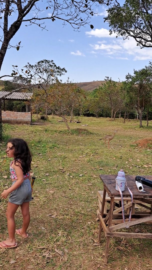 Camping da Picareta (Sr Chico) - Image 2