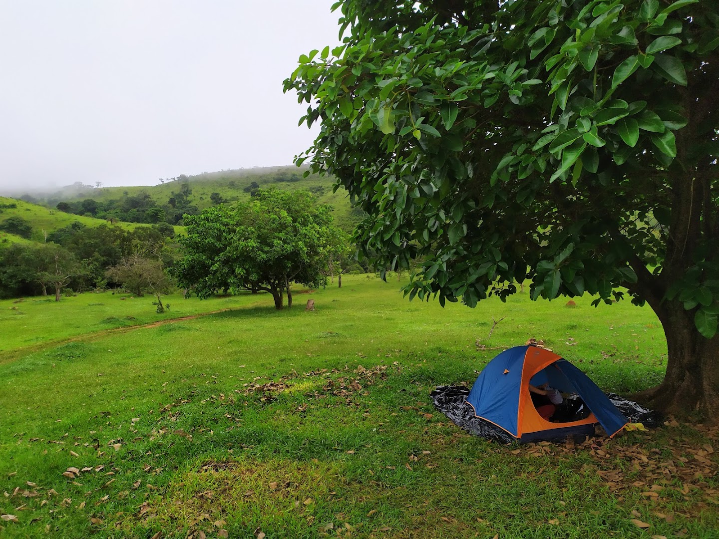 Camping da Picareta (Sr Chico) - Image 4