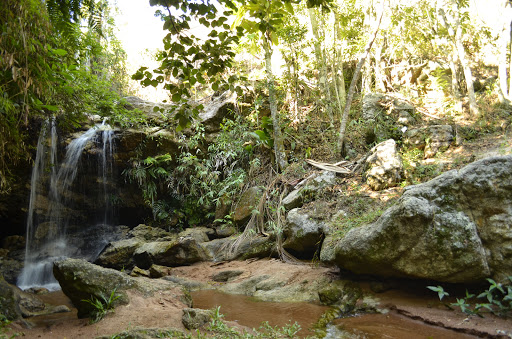 Toca do Coelho Funil - Image 3