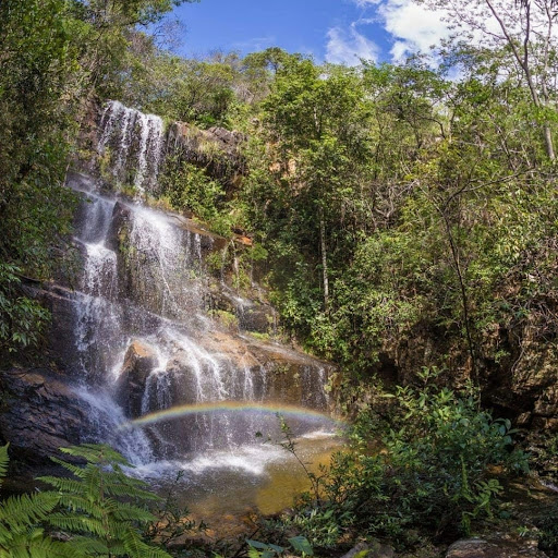 Matinha Serra do Cipó - Image 2