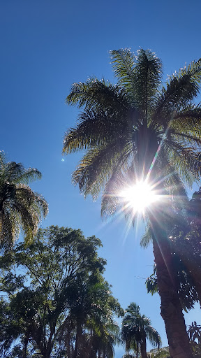 Matinha Serra do Cipó - Image 3
