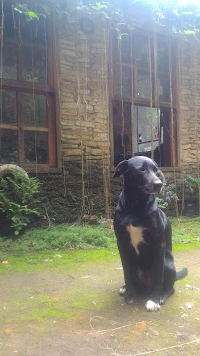 Refúgio do Caverna - Main Image