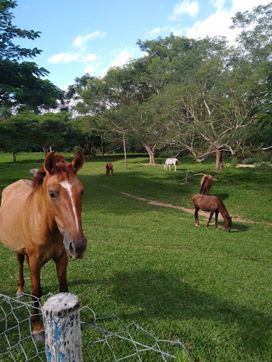 Balneário do Geraldinho Camping - Image 2