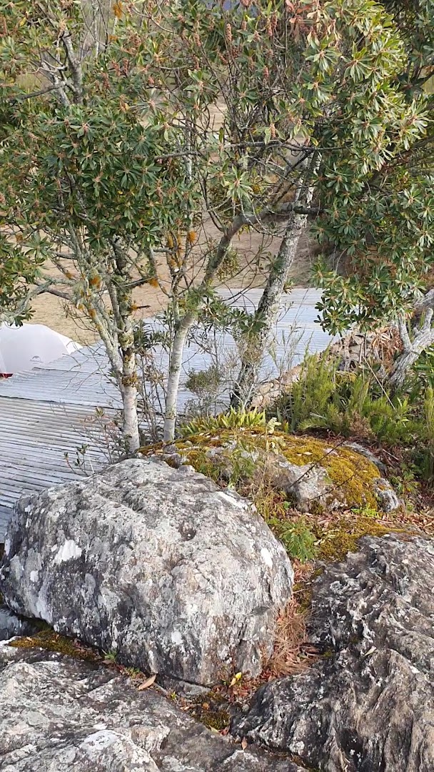 Acampamento do Terreirão - Image 2