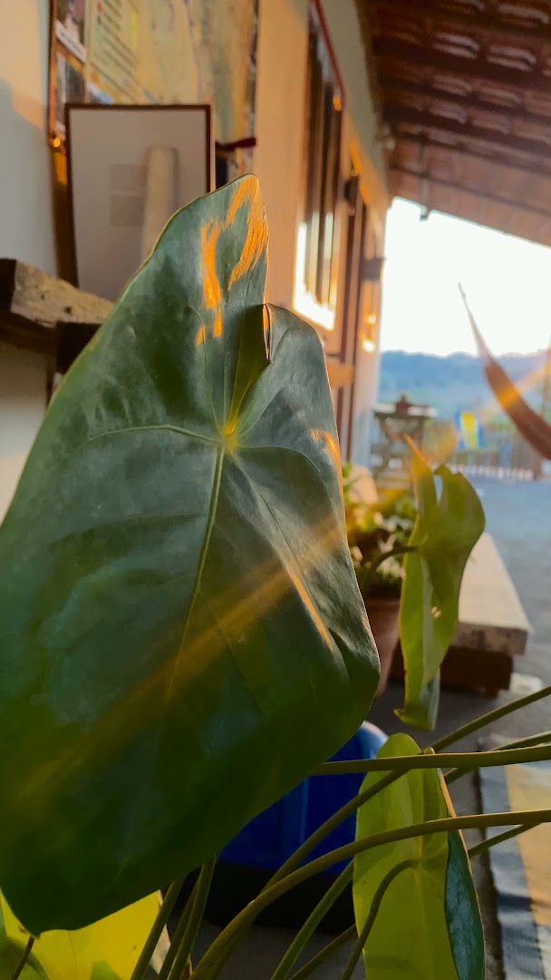 Pousada Aroeira da Serra - Image 2