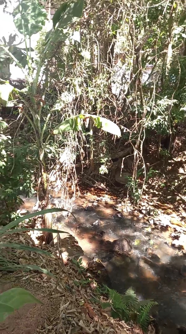 Camping Inês Alto Caparaó - Image 2