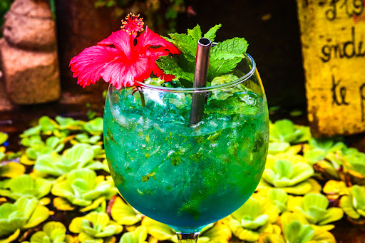 Casa Naturalis - Image 2