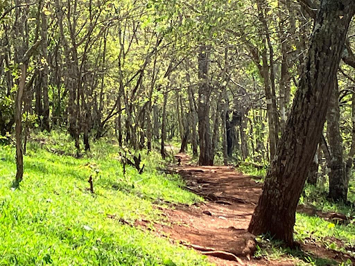 Recanto das Irmãs - Image 3