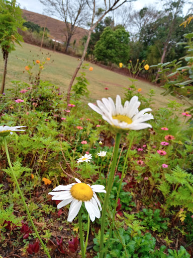Restaurante e Pousada Capim Massambará - Image 3