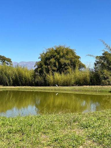 Sítio Vista Alegre - Bar, Restaurante e Pesque e Pague - Image 4