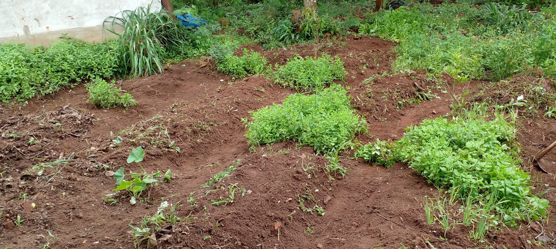 Ecocamping Jacaré - Image 3