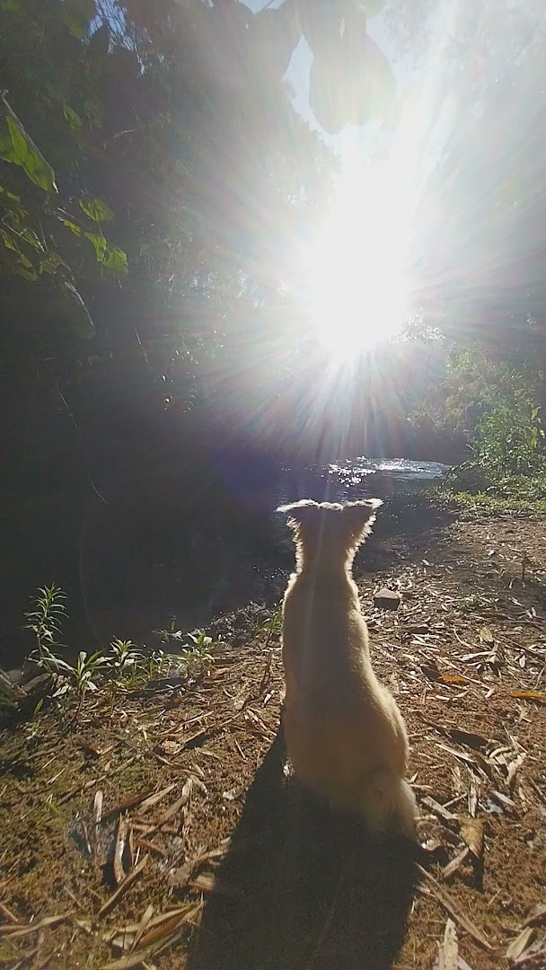 Ecocamping Jacaré - Image 4