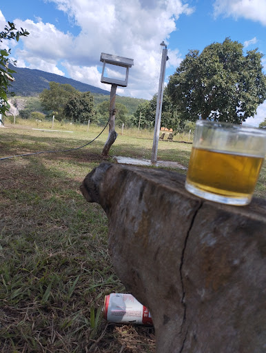 Sítio Azevedo - Curimataí MG - Image 3