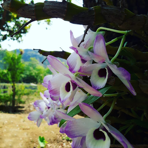 Abrigo Base - Image 3