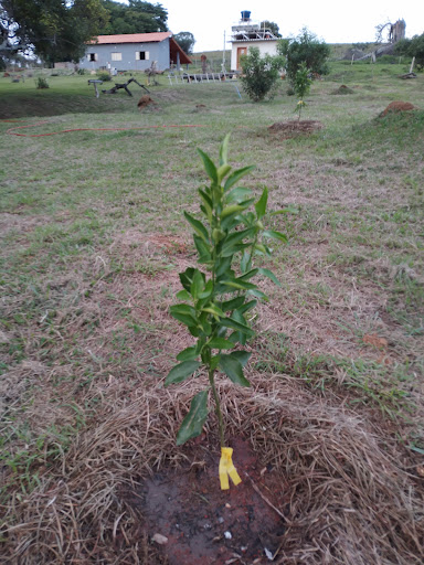 Camping Campo Belo - Image 3