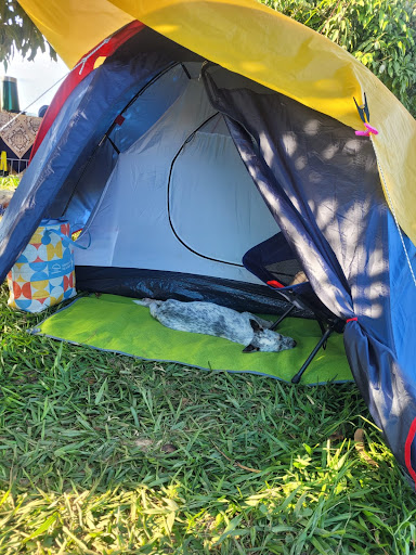 Camping Sitio dos Coqueiros - Image 3