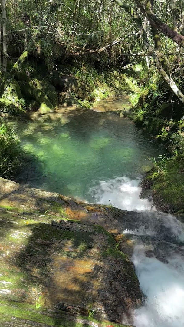 Recanto Raíz Roots - Image 2