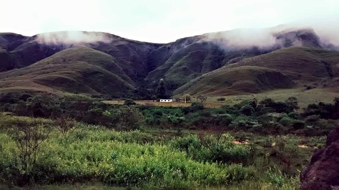 Recanto Raíz Roots - Image 5