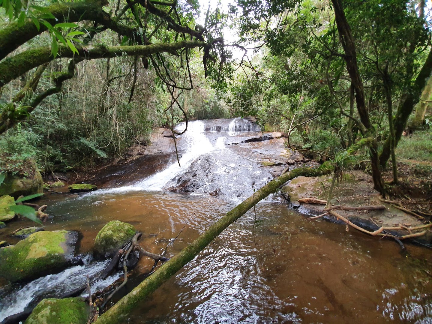 Ecopia Parque Gonçalves - Main Image