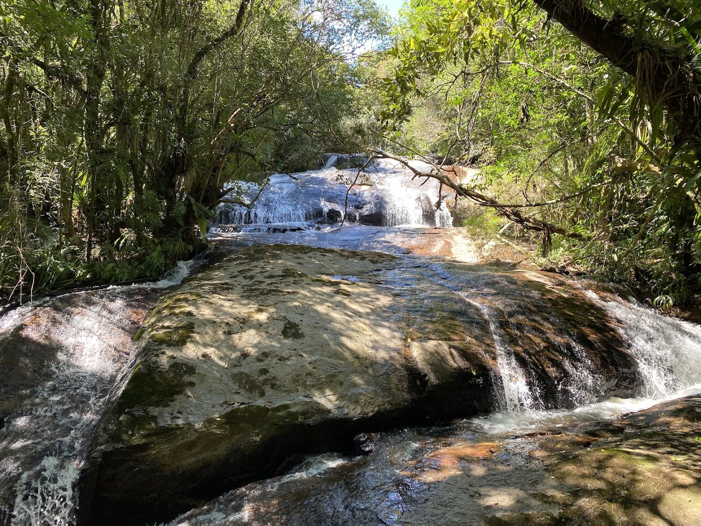 Ecopia Parque Gonçalves - Image 3