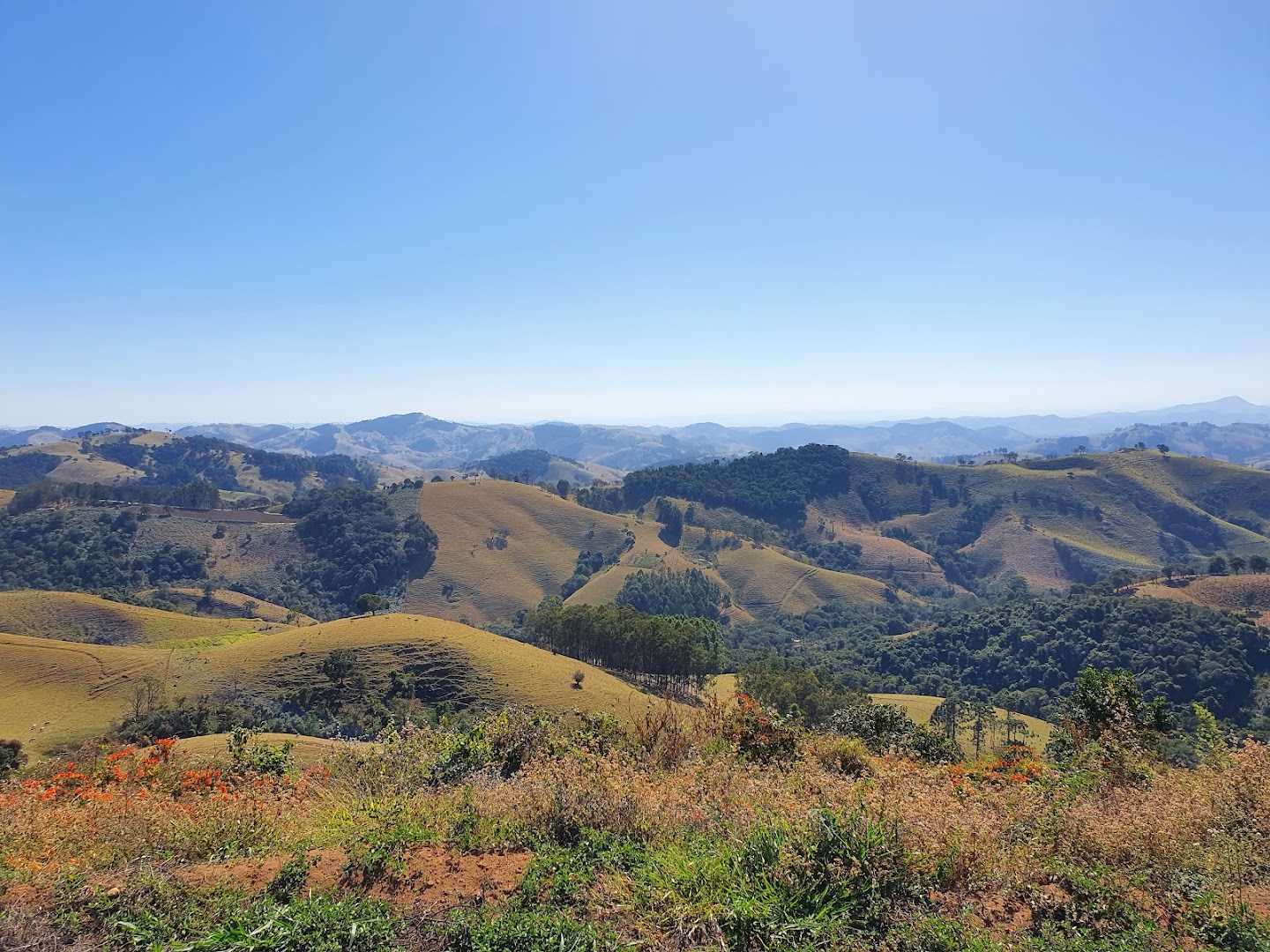 Ecopia Parque Gonçalves - Image 4