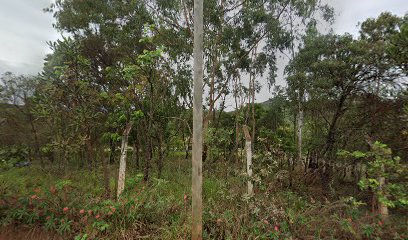 Sítio Canada - Main Image