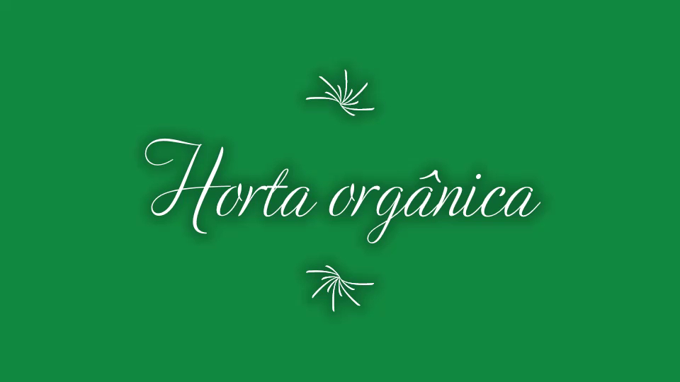 Sítio Tertúlia - Image 2