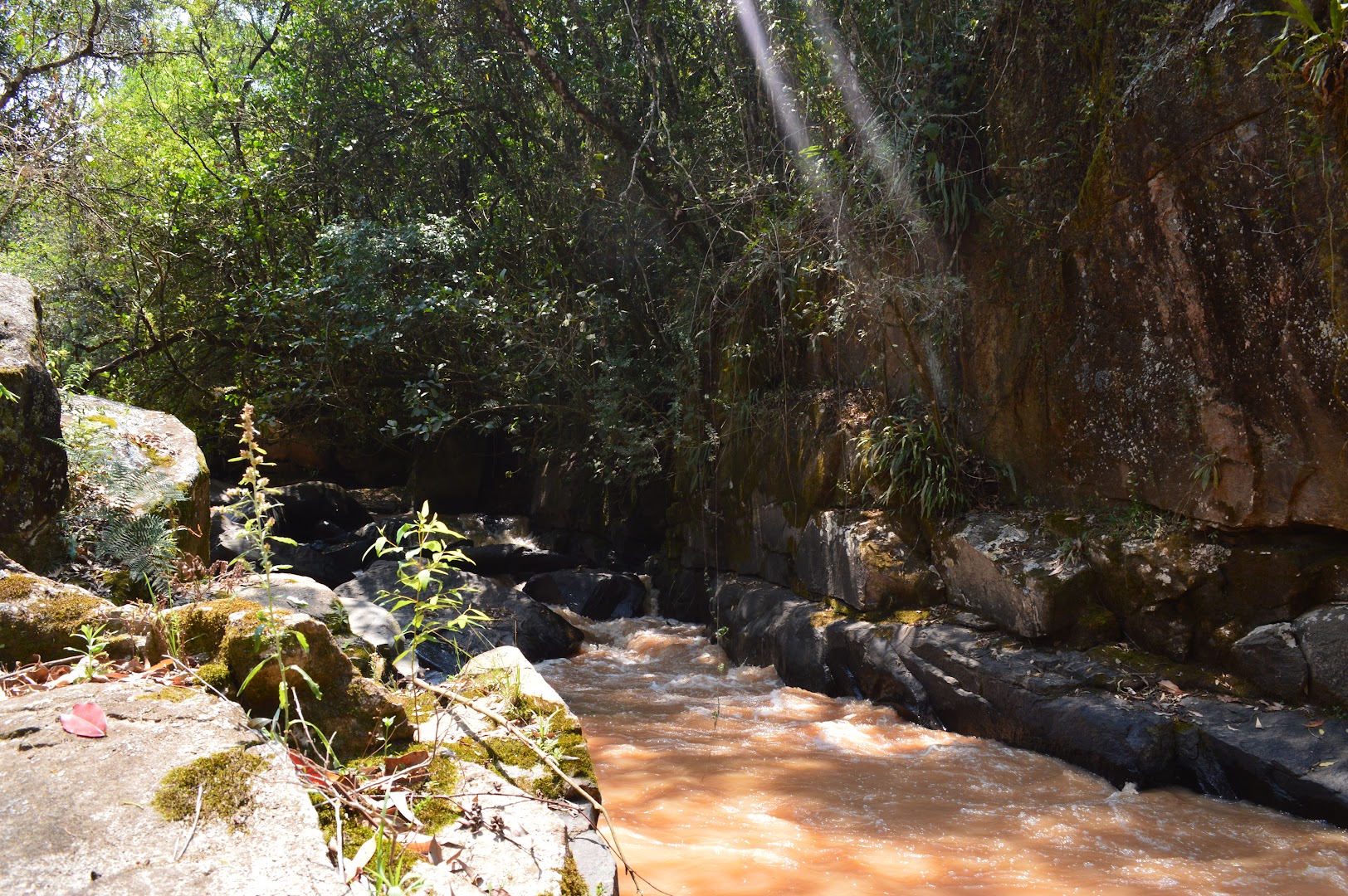 Sítio Tertúlia - Image 3