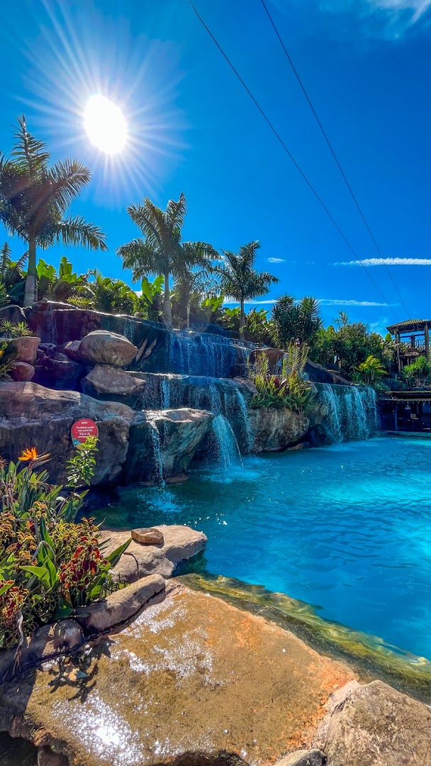 Ganso Complexo de Lazer - Image 3