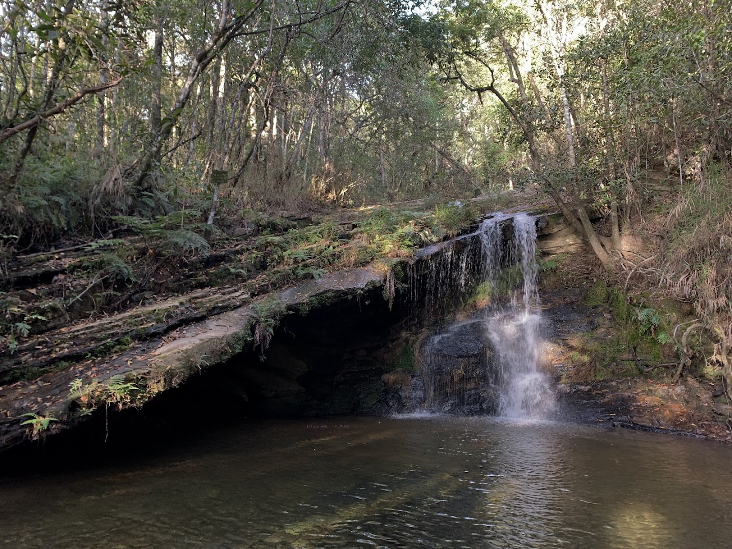 Escorrega da Zilda - Image 3