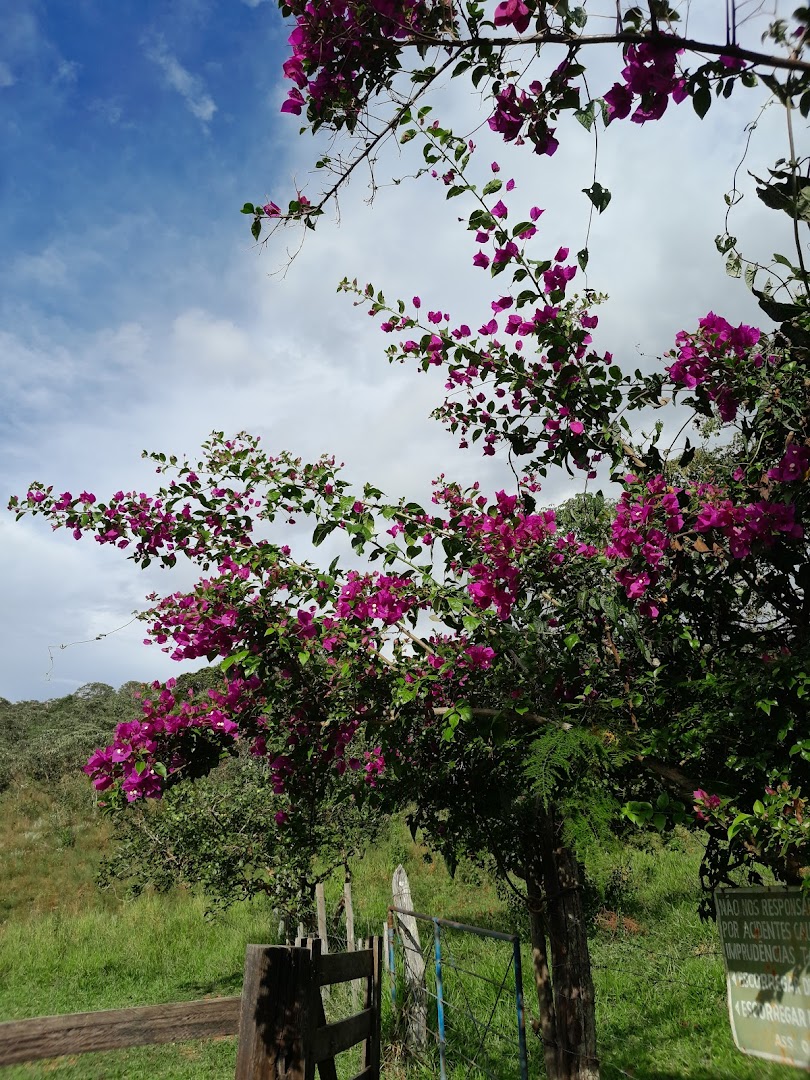 Escorrega da Zilda - Image 5