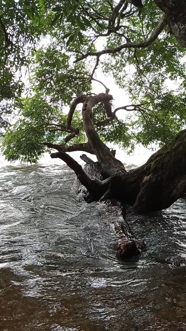 Cachoeira do Ribeirãozinho - Image 5