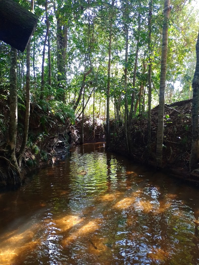 Balneário Encontro das Águas - Image 3