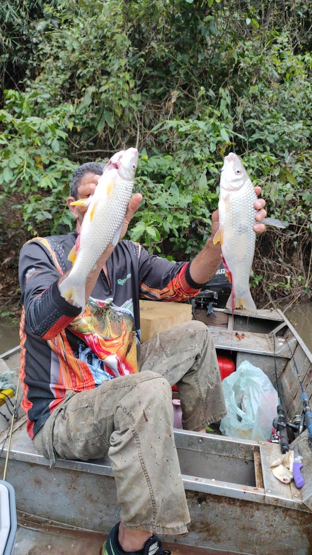 Acampamento Rio Turvo - Image 4