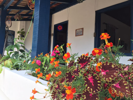 Jardim Secreto Hostel e Camping - Image 4