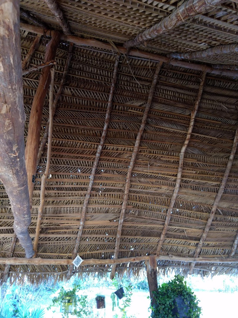 Restaurante e Camping da Mineuci - Image 4