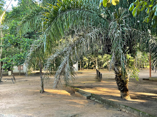 Acampamento Zé pé duro - Image 3