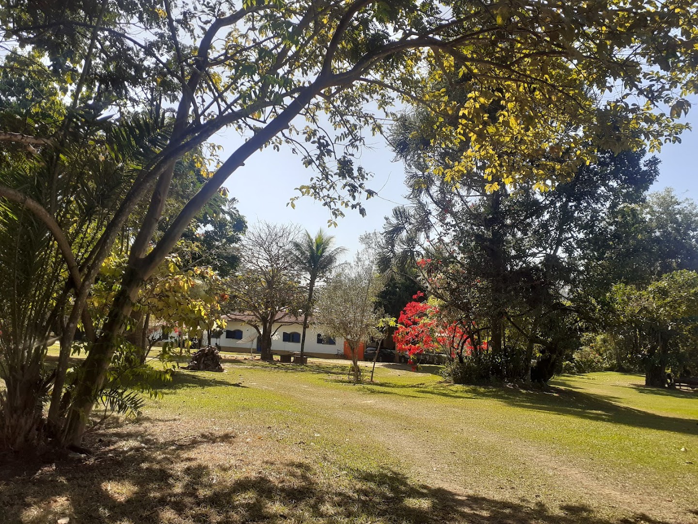Fazenda Professor Armando - Image 3