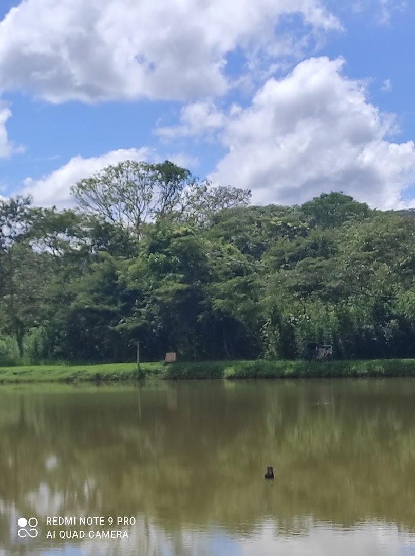 Agora na Roça - Pesque e Pague - Camping - Image 5