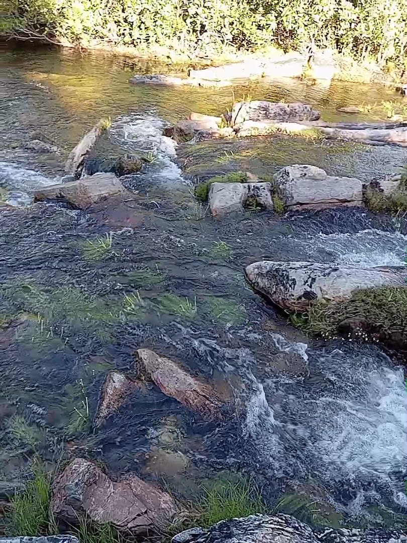 Fazenda Alpes Goianos - Image 2