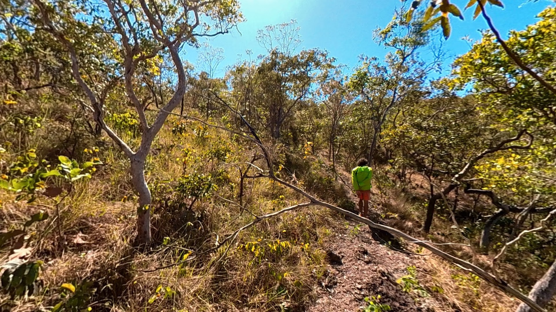 Santuário Ecológico Beija - Flor - Image 3