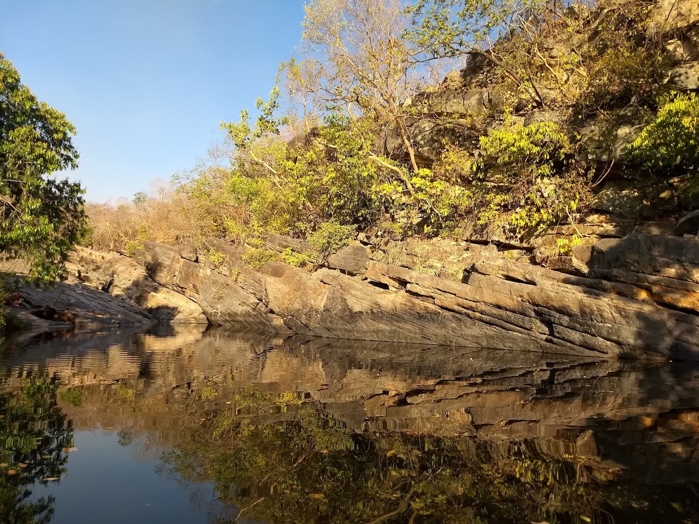 Santuário Ecológico Beija - Flor - Image 4