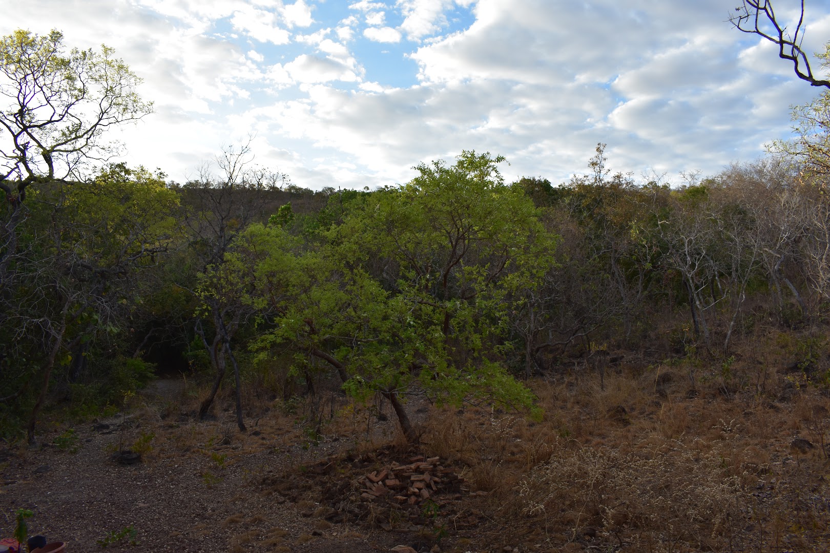 Santuário Ecológico Beija - Flor - Image 5