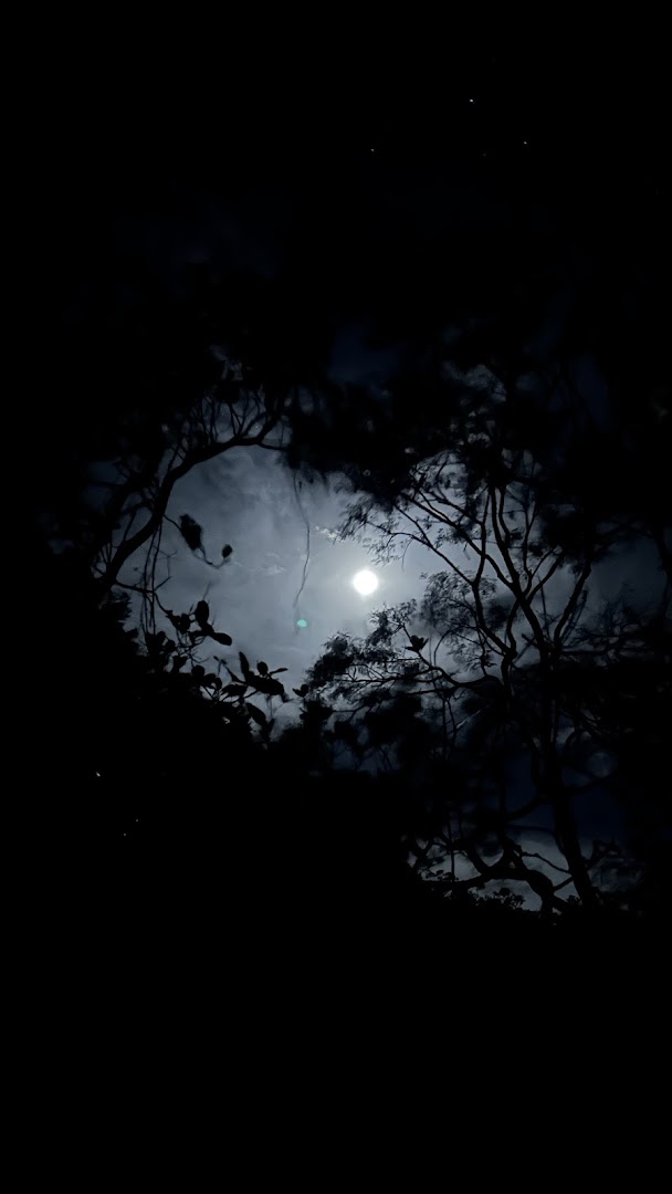 Camping Paraguassú - Image 3