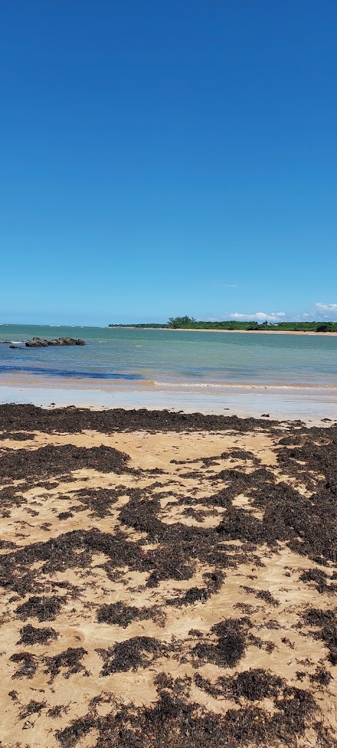 Clube dos Pelicanos - Image 5