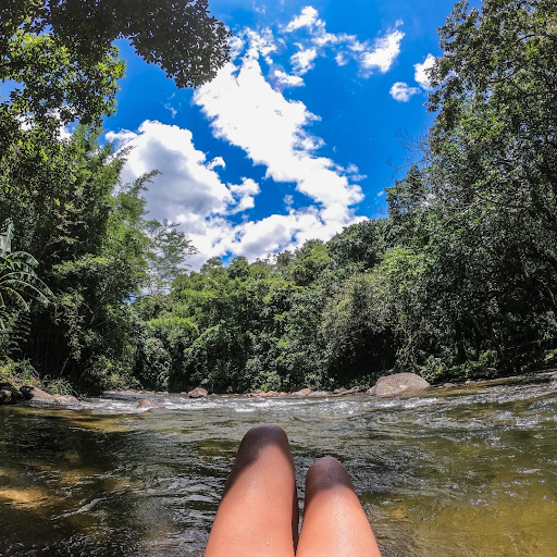 Bamboo Camping - Main Image