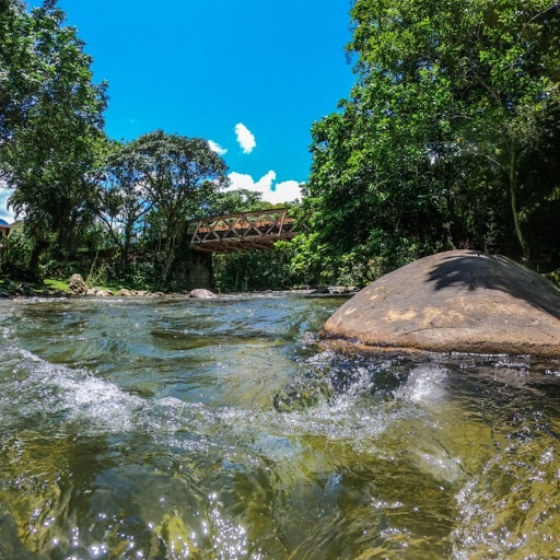 Bamboo Camping - Image 3