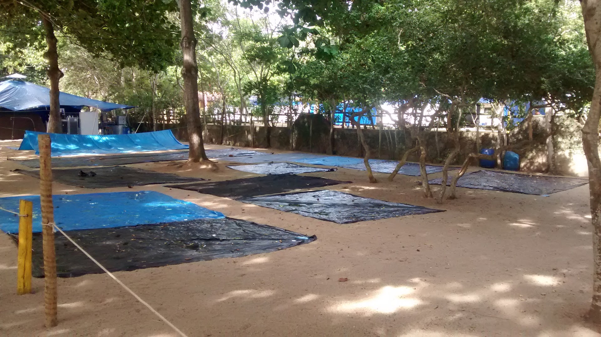 Camping do Siri - Image 4