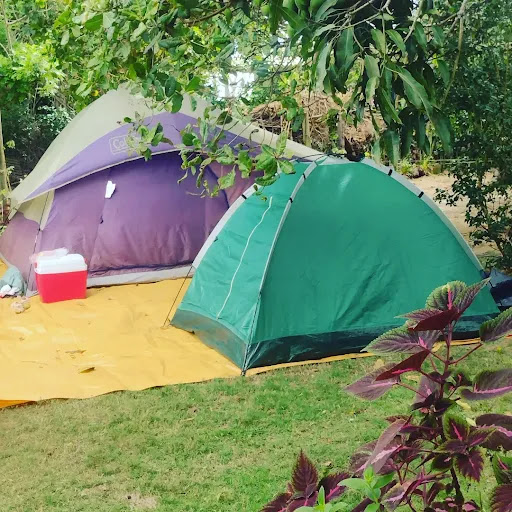 Camping do Lelê - Image 2