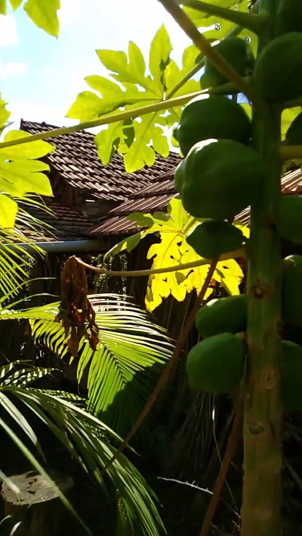 Cantinho dos 3 Pontões - Image 2